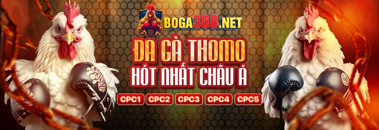 Đá Gà Trực Tuyến slot888 game - Sân đấu kịch tính
